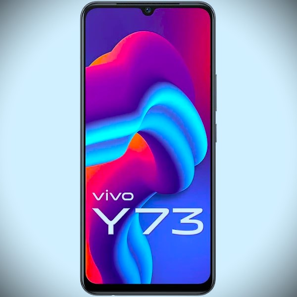 vivo Y73